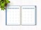 Planner Organizer Undated - Wild and Free Horse 12 Month Undated Planner